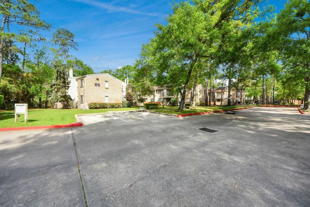 3500 Tangle Brush Drive 8, Spring, TX 77381