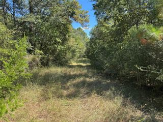 TBD Foxwood Drive, Navasota, TX 77868