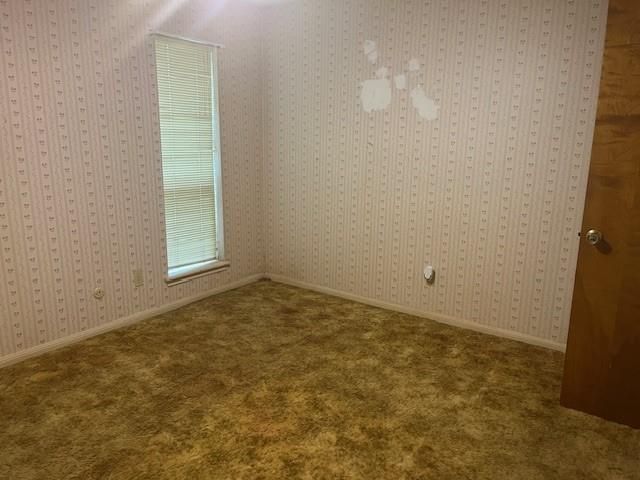 54 Blackgum Court, Lake Jackson, TX 77566