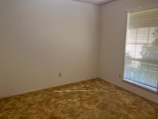 54 Blackgum Court, Lake Jackson, TX 77566