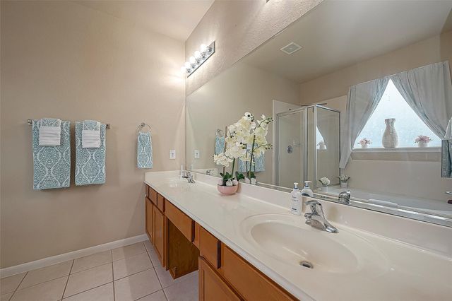 9906 Bronze Mill Lane, Rosharon, TX 77583