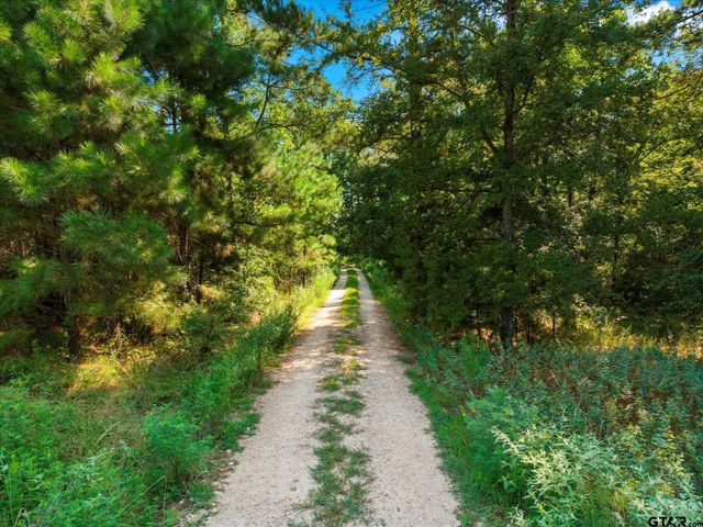 1663 CR 4510, Pittsburg, TX 75686