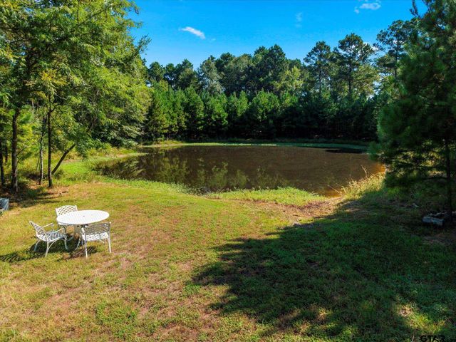 1663 CR 4510, Pittsburg, TX 75686