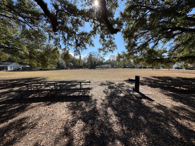 1644 Pinckney Park Drive, Charleston, SC 29407