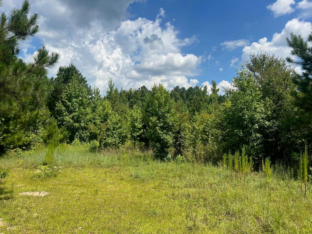 0 Thomson Highway, Warrenton, GA 30828