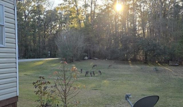 1687 Timberline Drive, Onalaska, TX 77360