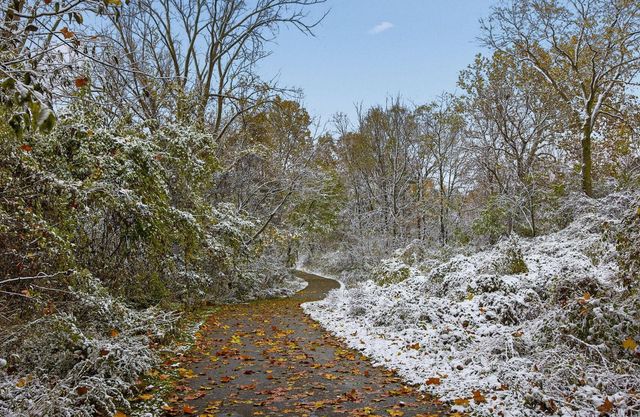 440 N Nelson Road, Columbus, OH 43219