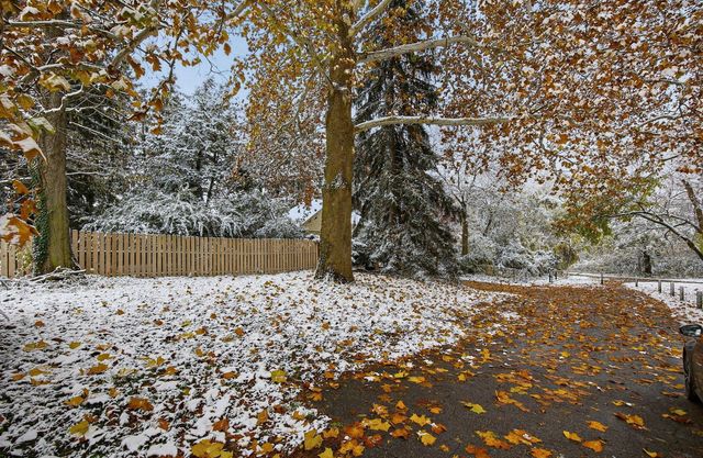 440 N Nelson Road, Columbus, OH 43219