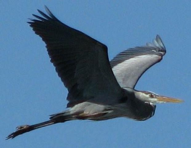 2 Hawkeye, Hitchcock, TX 77563