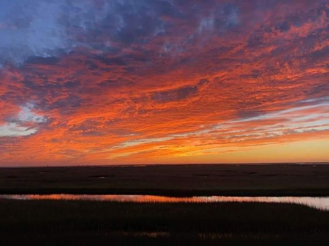 2 Hawkeye, Hitchcock, TX 77563