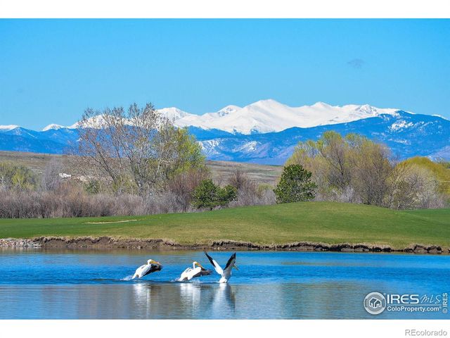 2178 Cape Hatteras Drive 6, Windsor, CO 80550