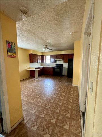 2207 Benitez Street, Donna, TX 78537