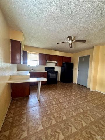 2207 Benitez Street, Donna, TX 78537