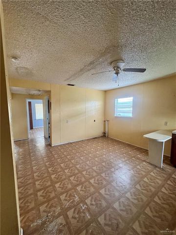 2207 Benitez Street, Donna, TX 78537