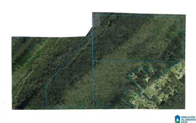 5388 RED HOLLOW ROAD, Birmingham, AL 35215