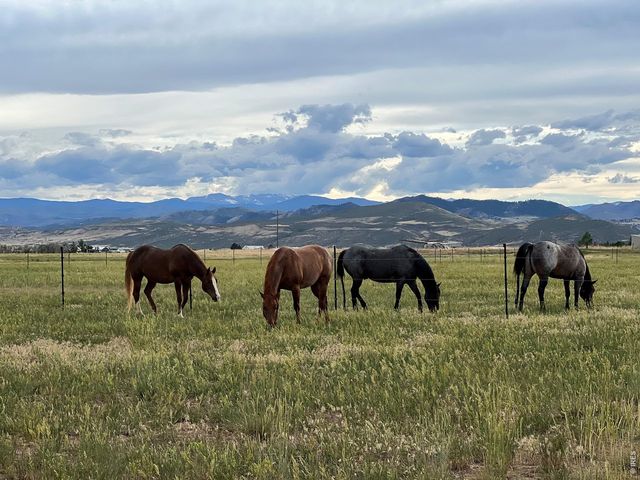 612 W County Road 74, Wellington, CO 80549