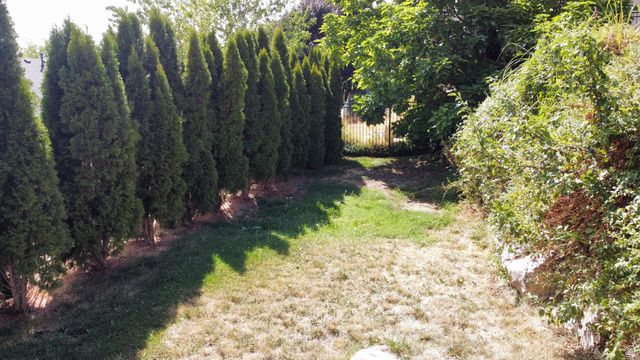 527 E 3575 N, North Ogden, UT 84414