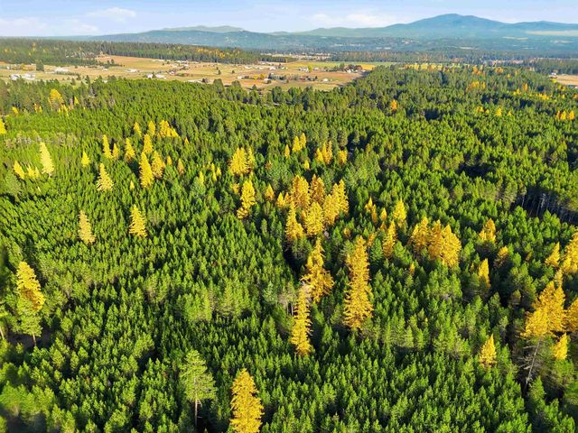 105 E Saltz Ln, Deer Park, WA 99006