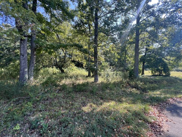0 Longview Dr, Camden, TN 38320
