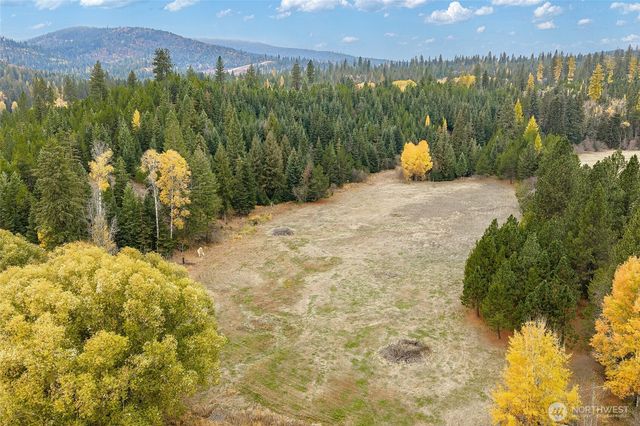 24727 E Blanchard Rd, Elk, WA 99156