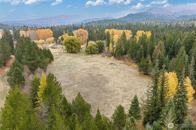 24727 E Blanchard Rd, Elk, WA 99156