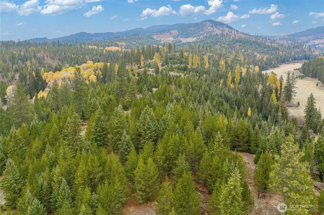 24727 E Blanchard Rd, Elk, WA 99156