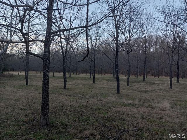 1100 Hattie Drive, Other, MO 65793