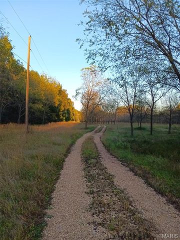 1100 Hattie Drive, Other, MO 65793