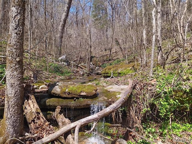 1100 Hattie Drive, Other, MO 65793