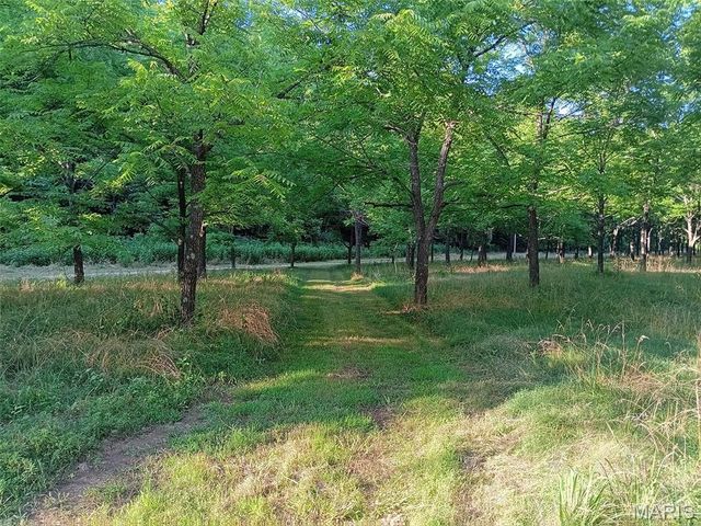 1100 Hattie Drive, Other, MO 65793