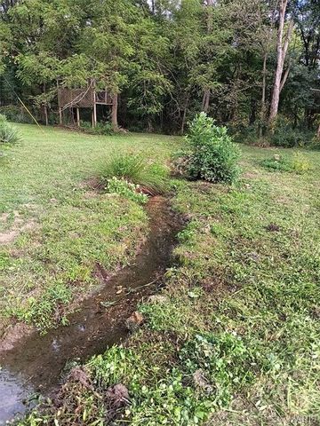 1100 Hattie Drive, Other, MO 65793