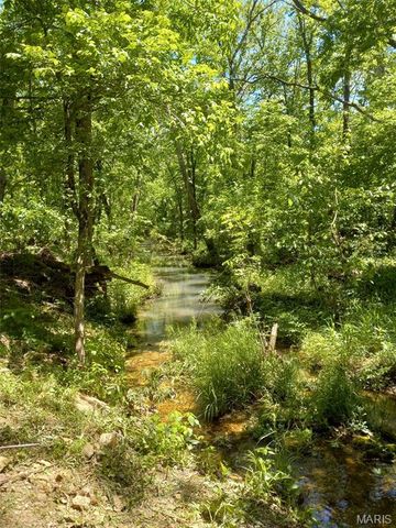 1100 Hattie Drive, Other, MO 65793