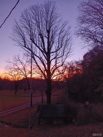 1100 Hattie Drive, Other, MO 65793