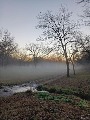 1100 Hattie Drive, Other, MO 65793