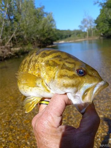 1100 Hattie Drive, Other, MO 65793