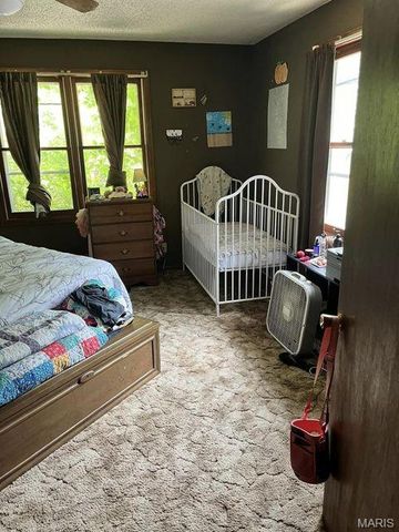 1100 Hattie Drive, Other, MO 65793