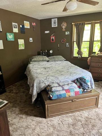 1100 Hattie Drive, Other, MO 65793