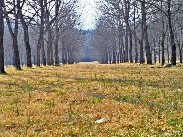 1100 Hattie Drive, Other, MO 65793