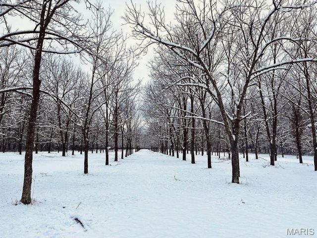 1100 Hattie Drive, Other, MO 65793