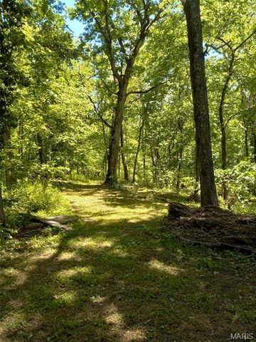 1100 Hattie Drive, Other, MO 65793