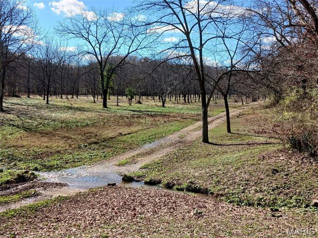 1100 Hattie Drive, Other, MO 65793