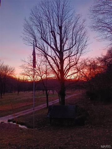 1100 Hattie Drive, Other, MO 65793