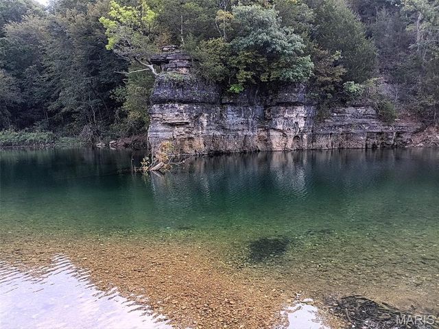 1100 Hattie Drive, Other, MO 65793