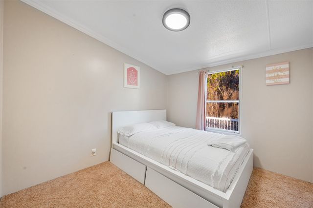 184 Private Road 36194, Sumner, TX 75486