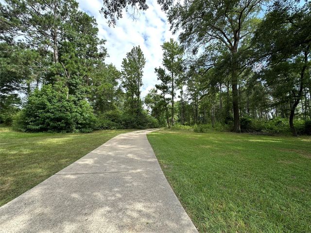 33615 Dobbin Huffsmith Road, Magnolia, TX 77354