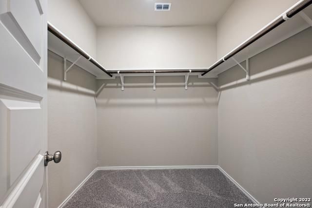259 Kinsley WAY, New Braunfels, TX 78130