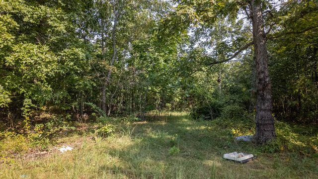 12078 Nevill Road, Mountain Grove, MO 65711