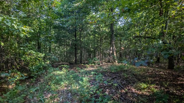 12078 Nevill Road, Mountain Grove, MO 65711