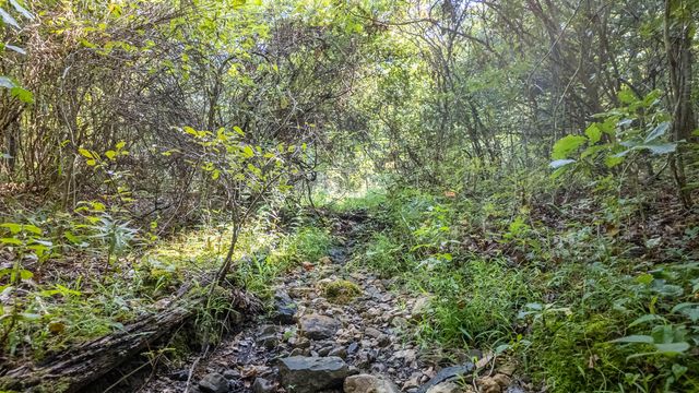 12078 Nevill Road, Mountain Grove, MO 65711