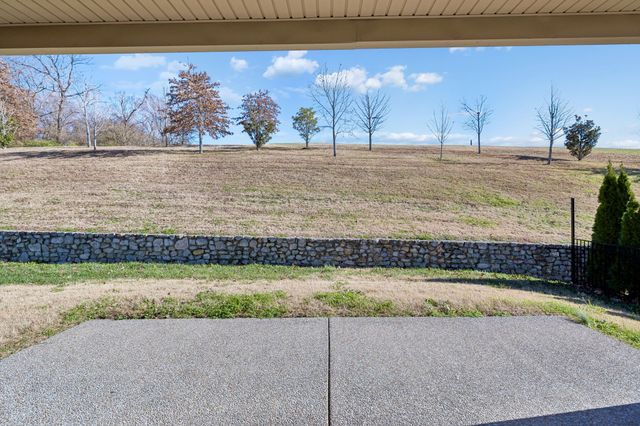 76 Molly Bright Ln, Franklin, TN 37064